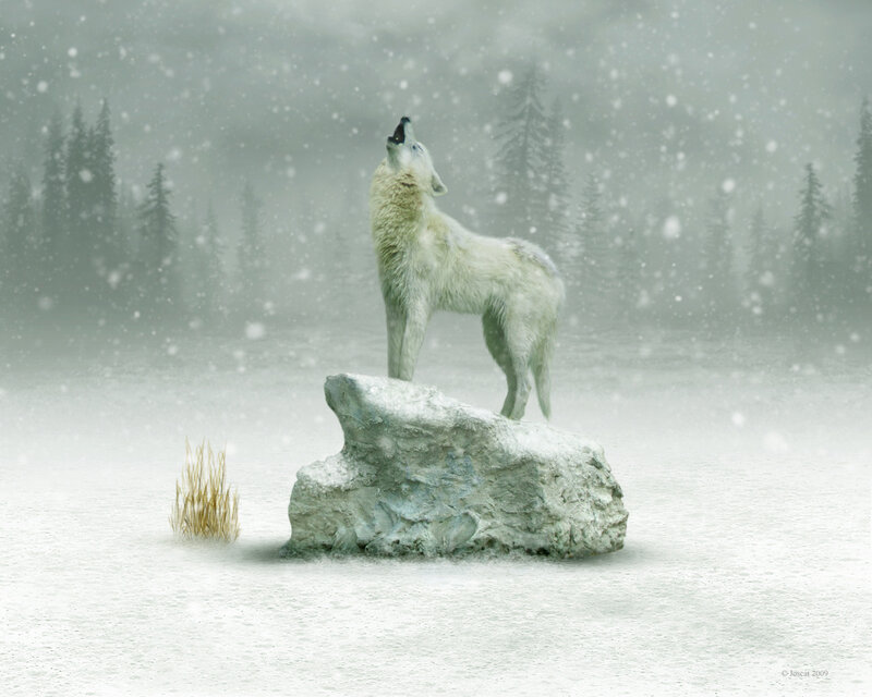 White Wolf Howling — Serene, Winter, Digital Art