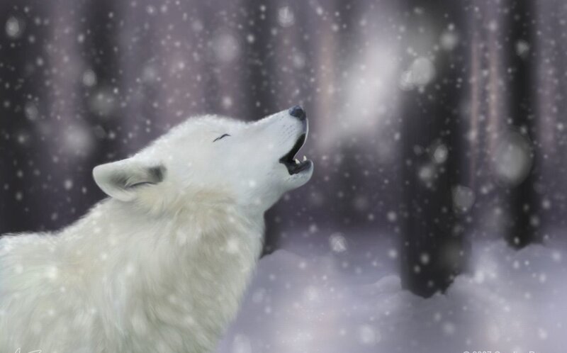White Wolf Howling — Serene, Winter