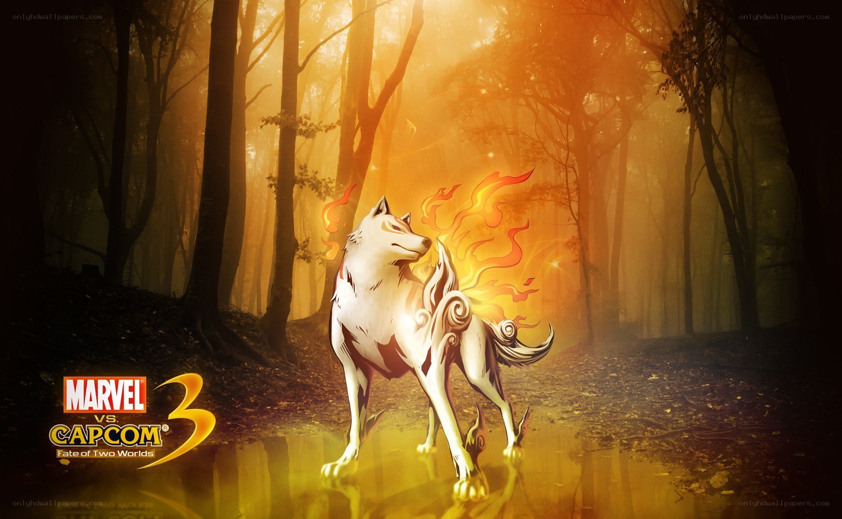 White wolf in a forest