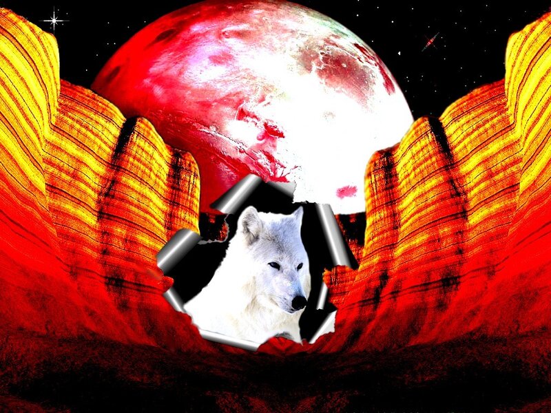 White Wolf in Canyon — Red