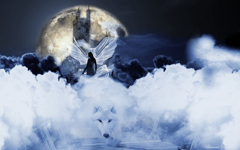 White Wolf in Clouds — Blue