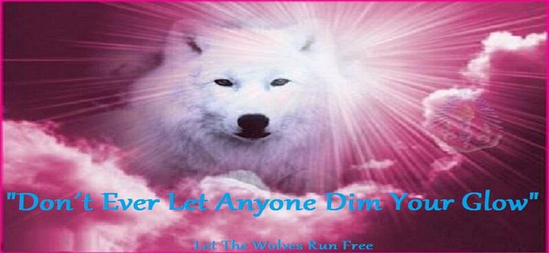 White Wolf in Clouds — Pink