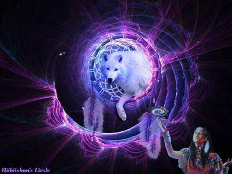 White Wolf in Energy Circle