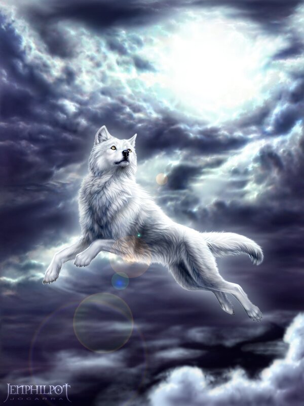 White Wolf in Flight — Dramatic