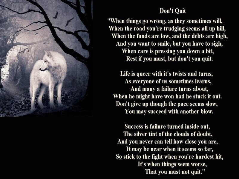 White Wolf in Forest — Black, Somber, Night