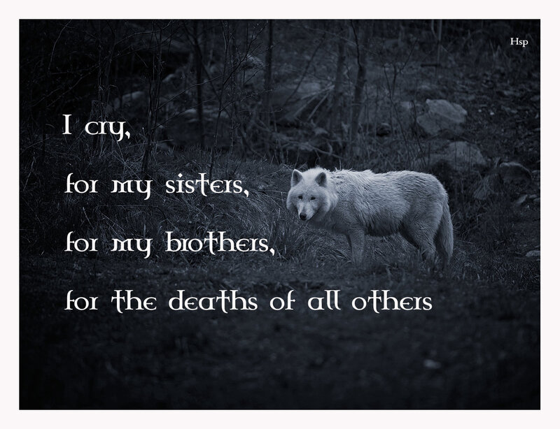 White Wolf in Forest — Black, Somber