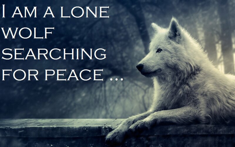 White Wolf in Forest — Blue, Melancholic
