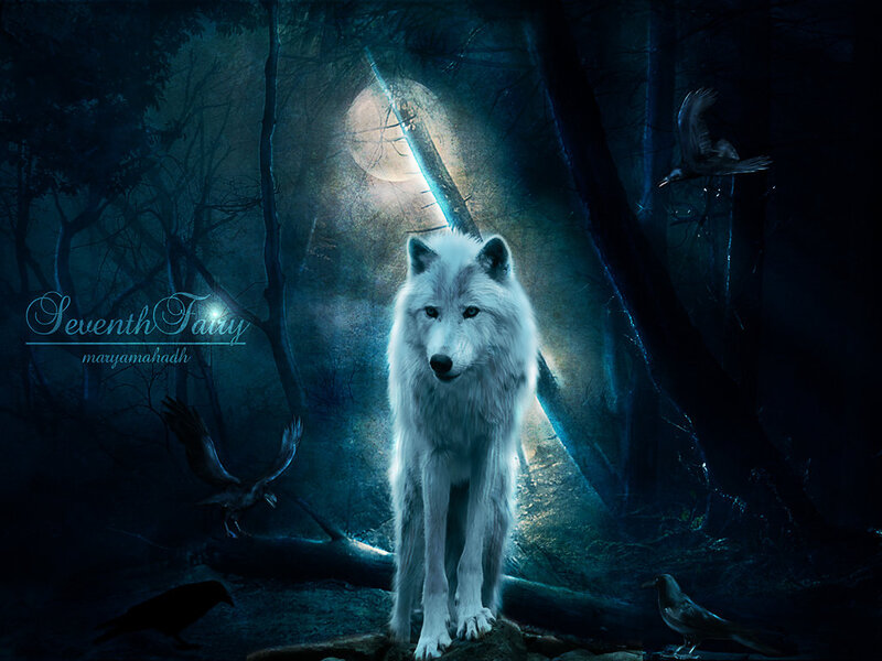 White Wolf in Forest — Blue, Mysterious