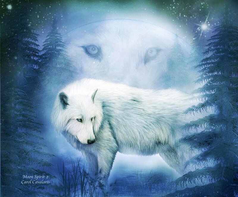 White Wolf in Forest — Blue, Serene, Night