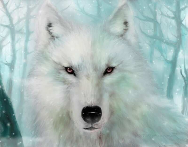 White Wolf in Forest — Cold