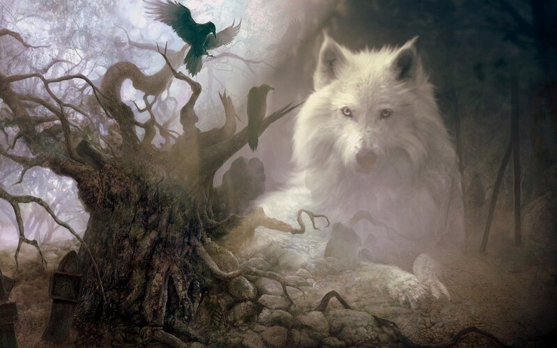 White Wolf in Forest — Gray, Mysterious