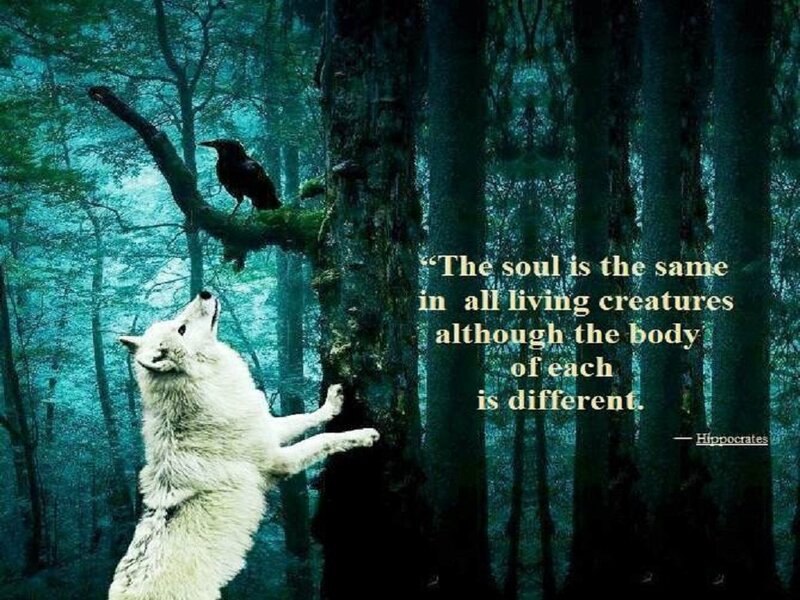 White Wolf in Forest — Green, Mystical