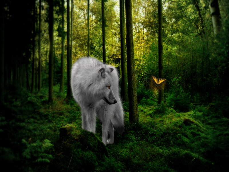 White Wolf in Forest — Green, Serene, Afternoon, Digital Art