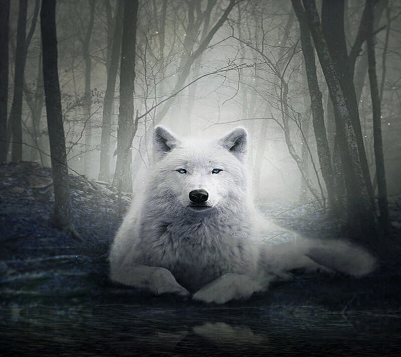 White Wolf in Forest — Mysterious, Night, Digital Art, Trees, Fog