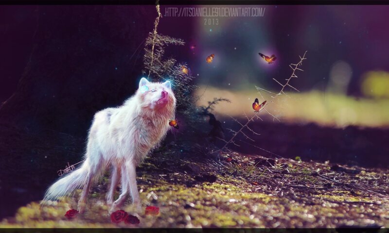 White Wolf in Forest — Purple, Mystical, Night