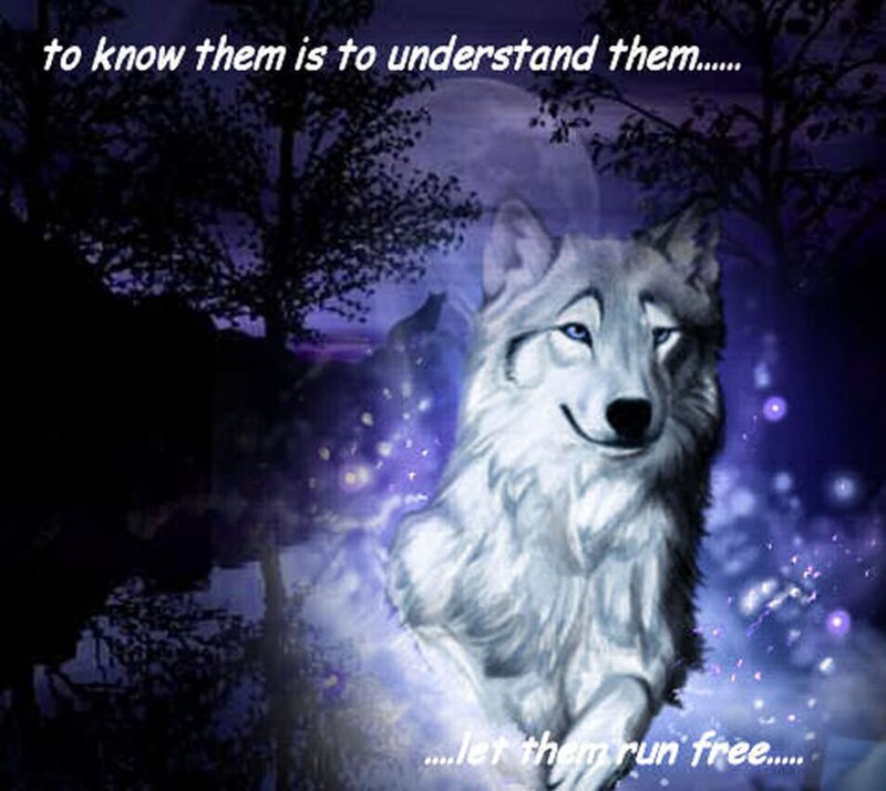 White Wolf in Forest — Purple, Mystical