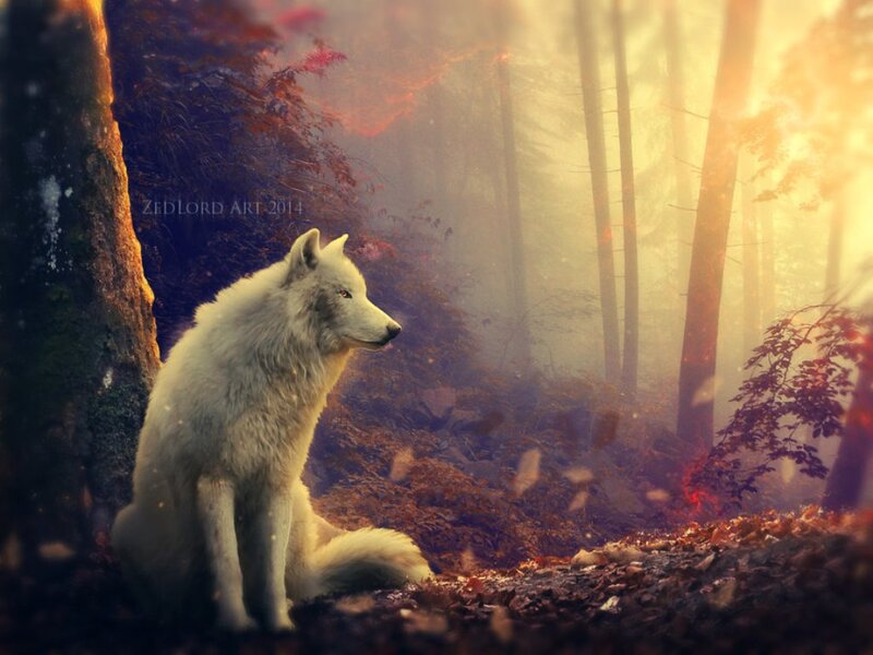 White Wolf in Forest — Serene, Autumn, Digital Art