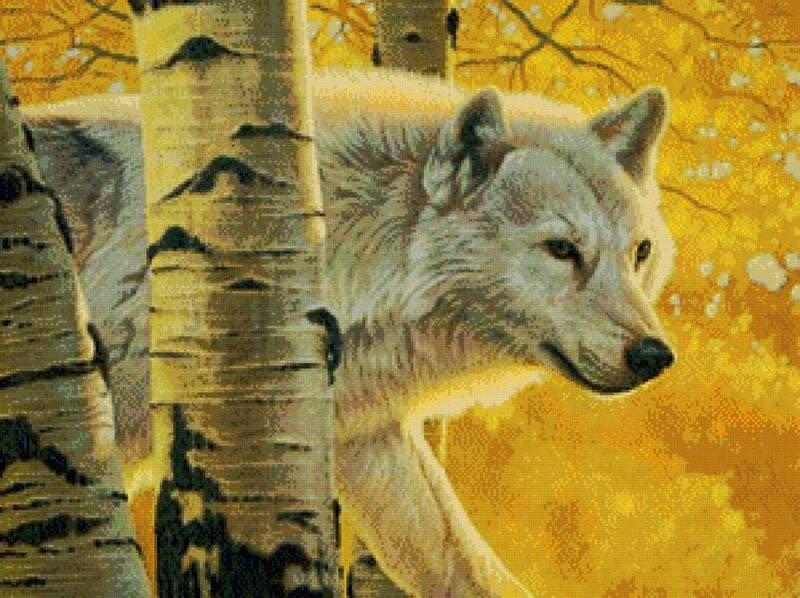 White Wolf in Forest — Yellow, Calm