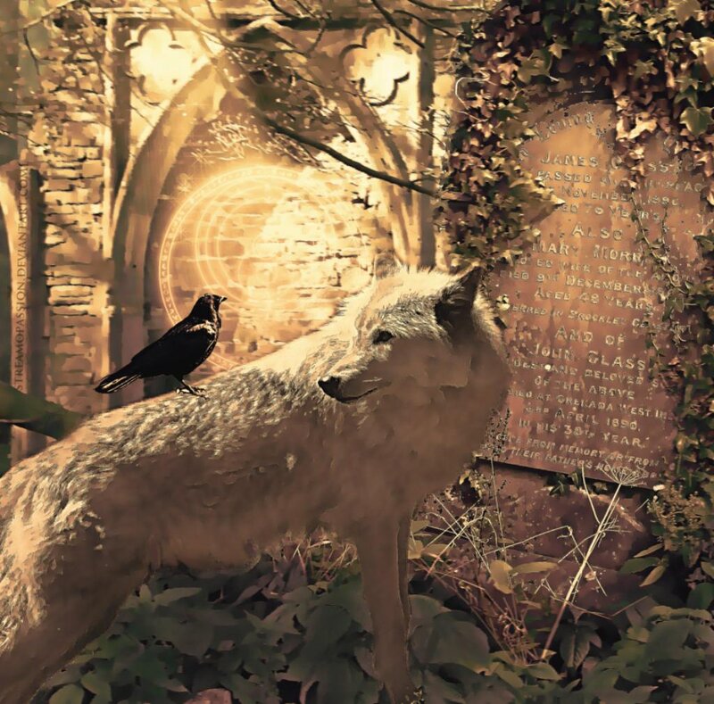 White Wolf in Graveyard