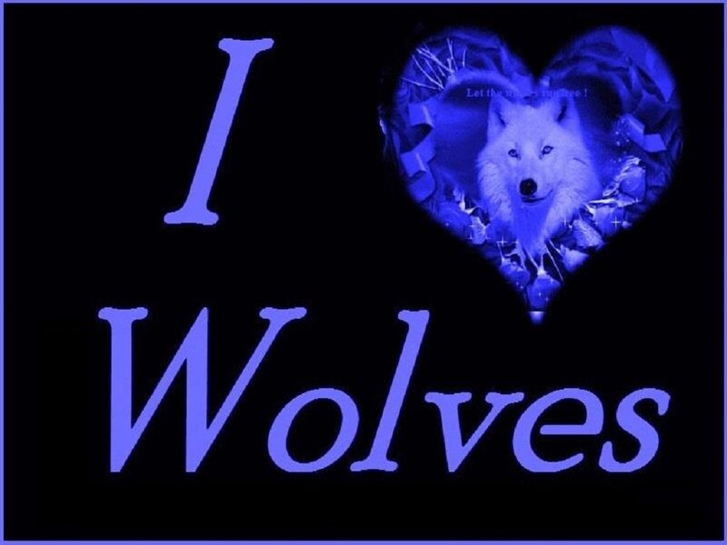 White Wolf in Heart
