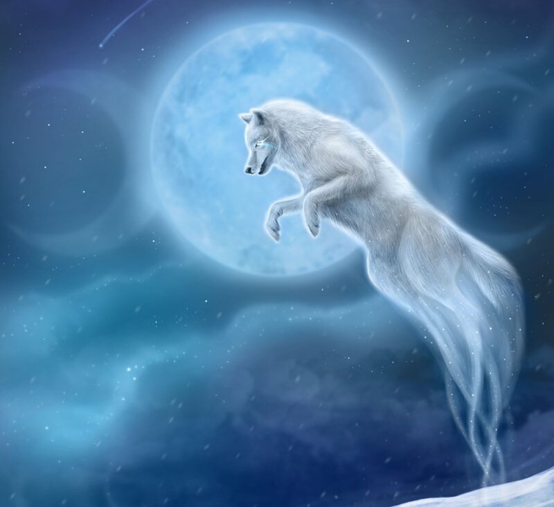 White Wolf in Mid-leap