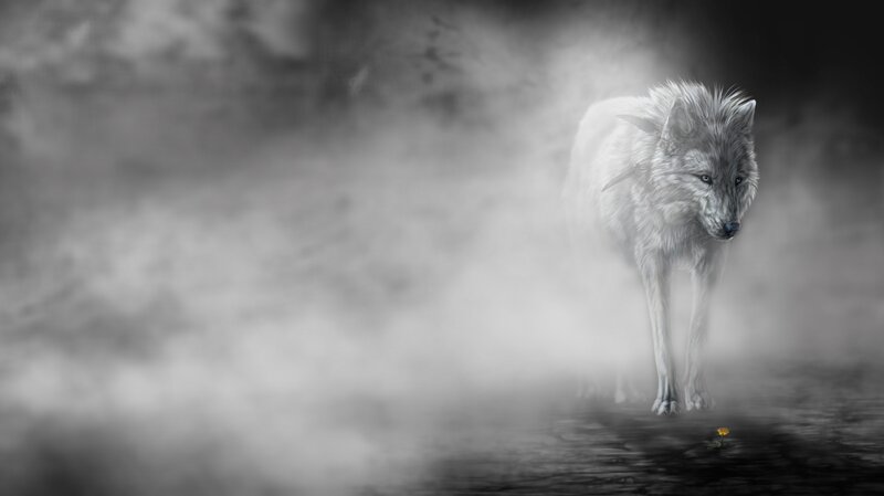 White Wolf in Mist — Gray, Mysterious, Digital Art