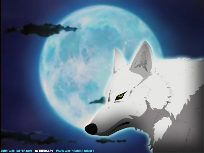White Wolf in Moonlight