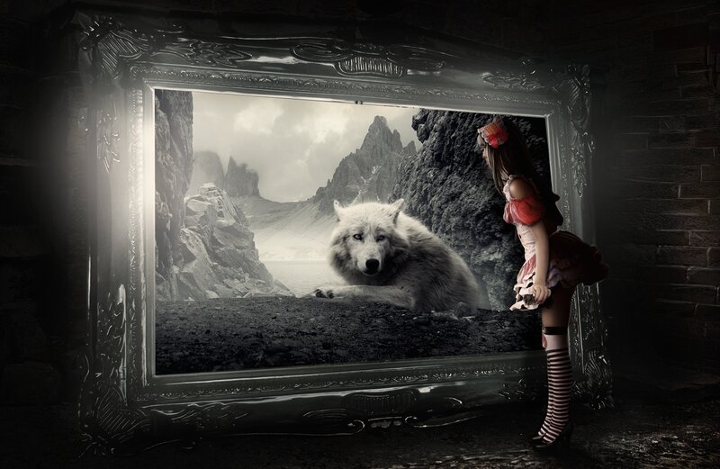White Wolf in Mountains — Black