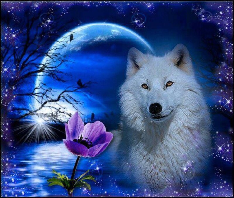 White Wolf in Night — Blue, Serene