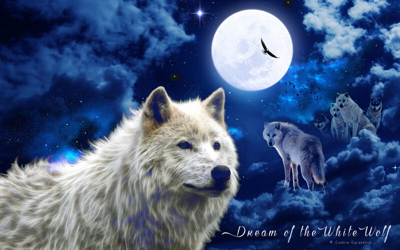 White Wolf in Night Sky