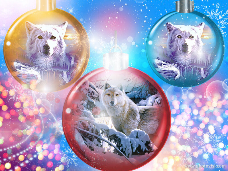 White Wolf in Ornaments