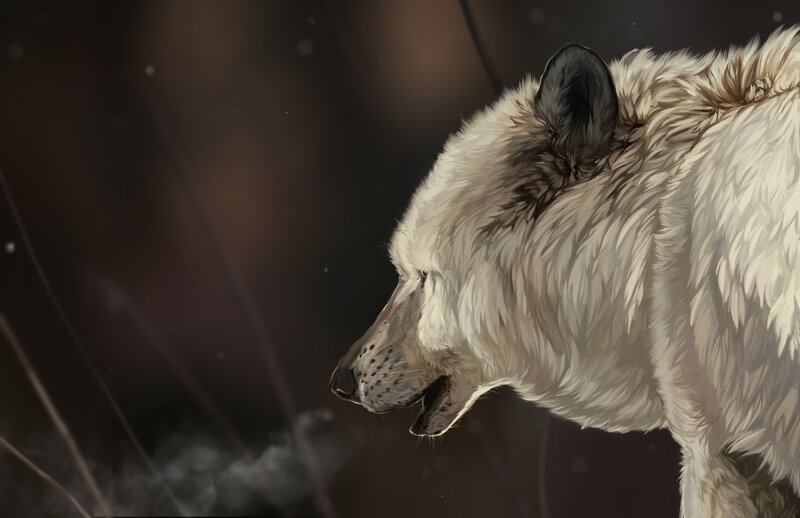 White Wolf in Profile — Dramatic, Night, Digital Art