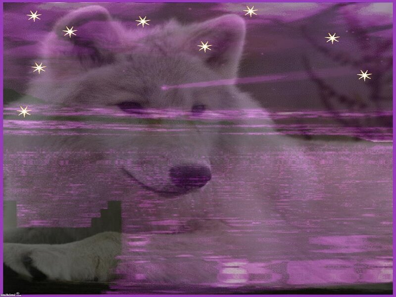 White Wolf in Purple