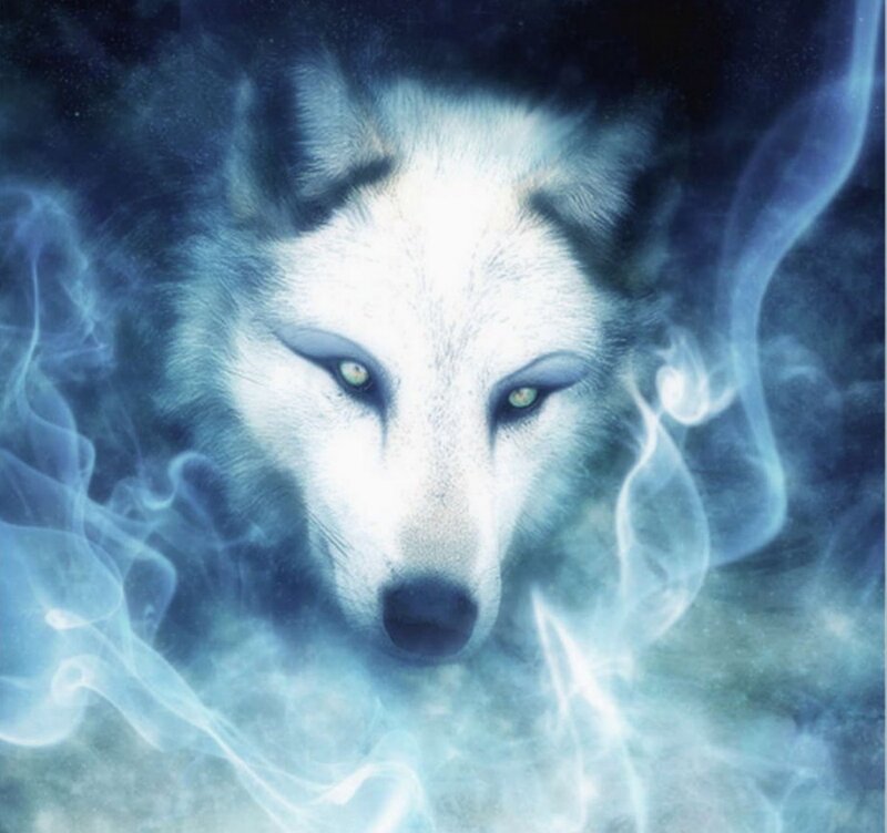 White Wolf in Smoke — Blue