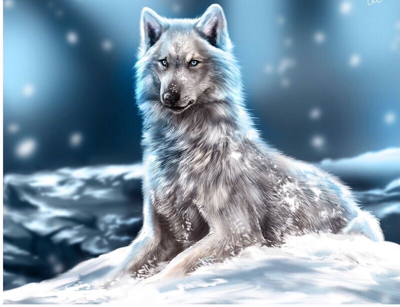White Wolf in Snow — Blue, Cold, Winter