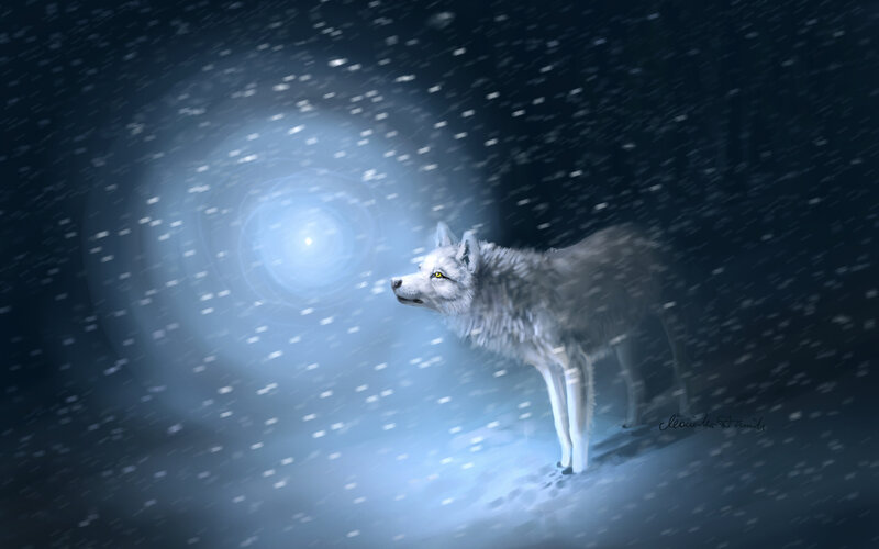 White Wolf in Snow — Blue, Dramatic, Night, Digital Art
