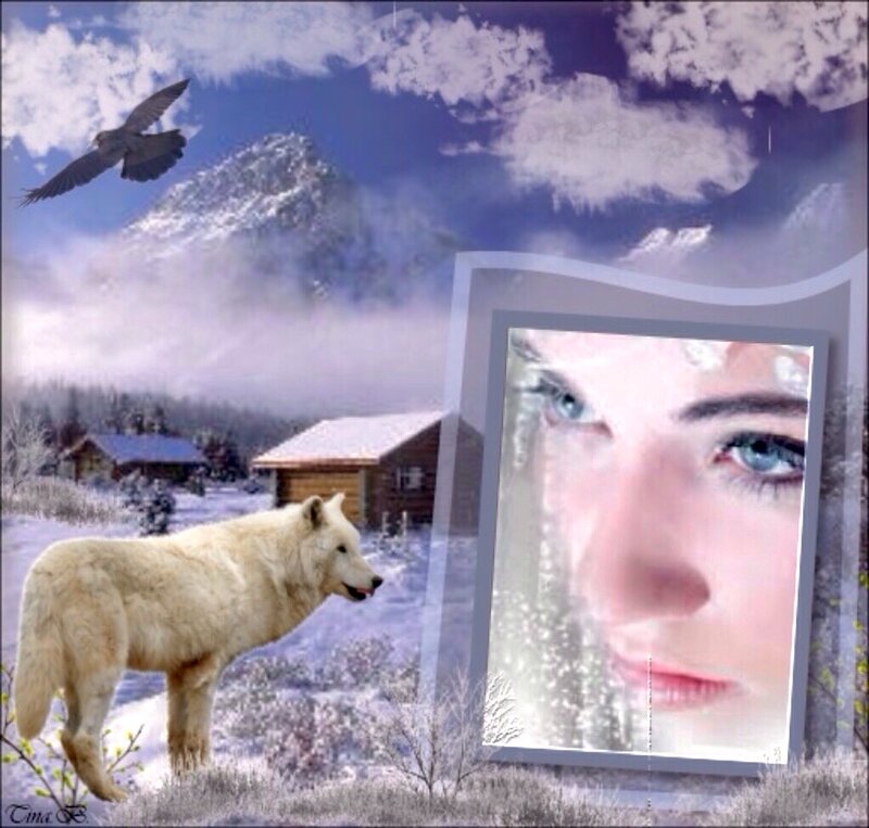 White Wolf in Snow — Blue, Serene, Winter, Digital Art