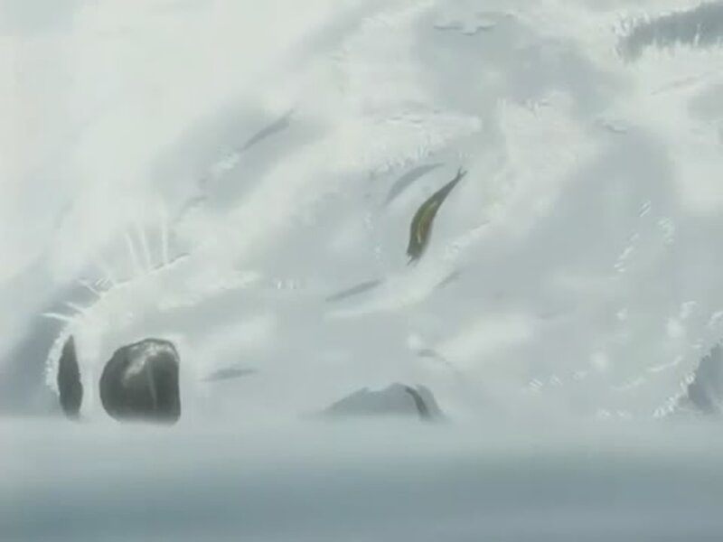 White Wolf in Snow — Cold, Winter, Anime