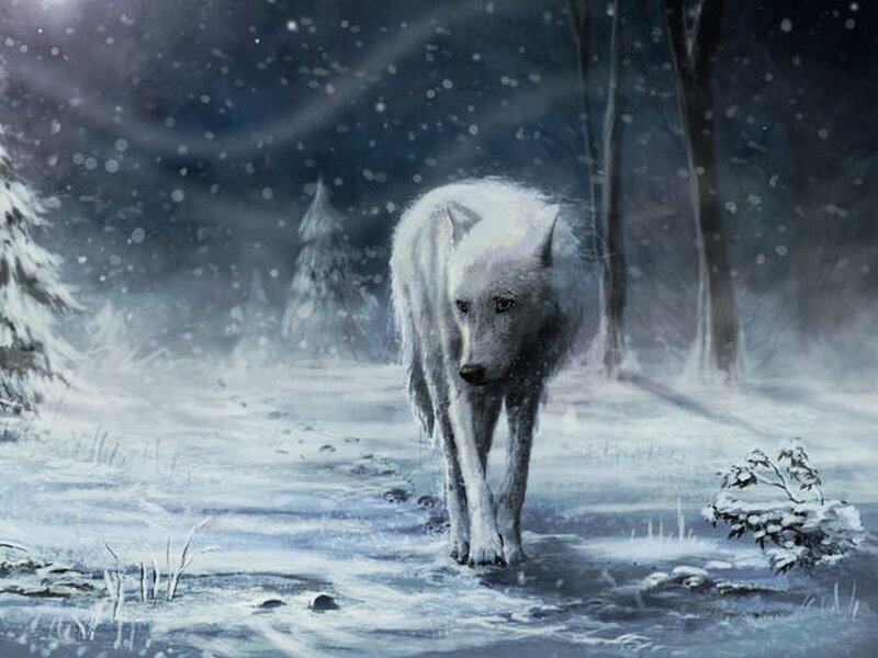 White Wolf in Snow — Cold, Winter, Digital Art, Trees, Forest