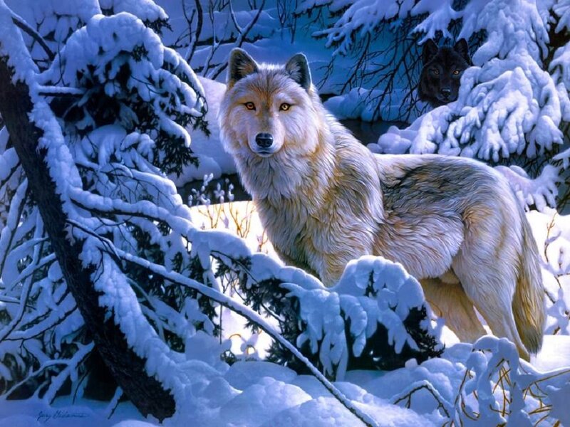 White Wolf in Snow — Cold, Winter, Digital Art, Trees