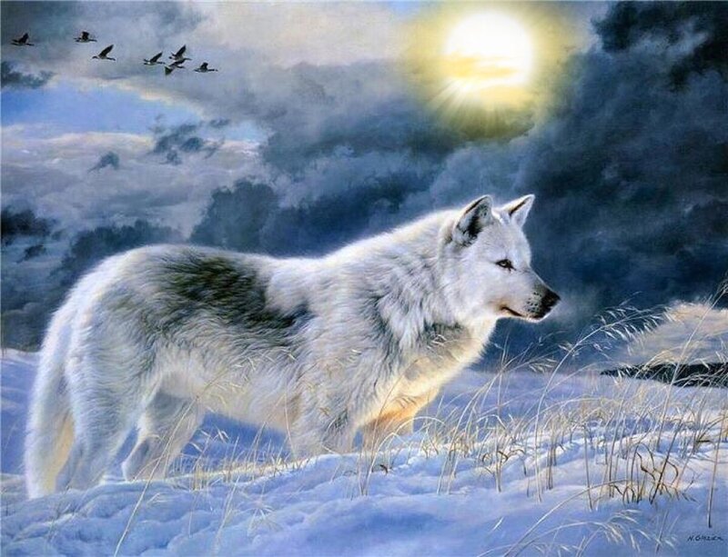 White Wolf in Snow — Dramatic, Winter, Digital Art, Birds