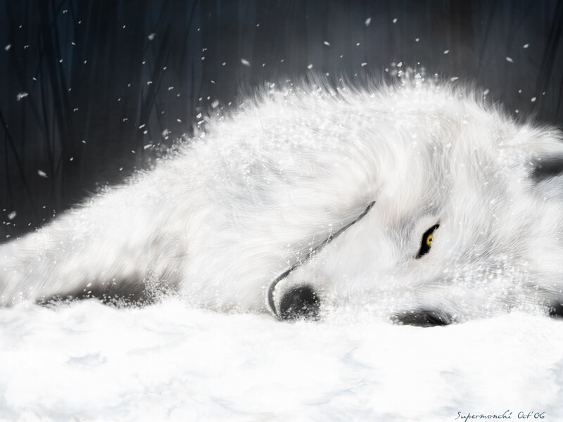 White Wolf in Snow — Dramatic, Winter, Digital Art, Forest, Eyes