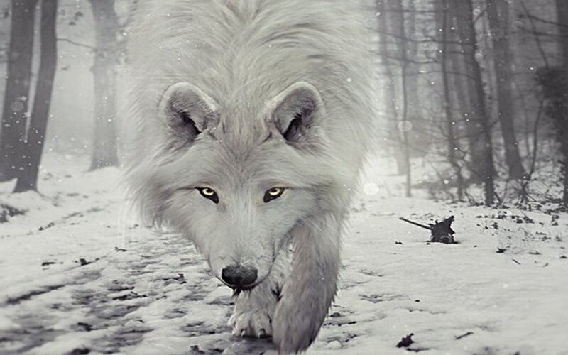 White Wolf in Snow — Dramatic, Winter, Digital Art, Forest, Trees