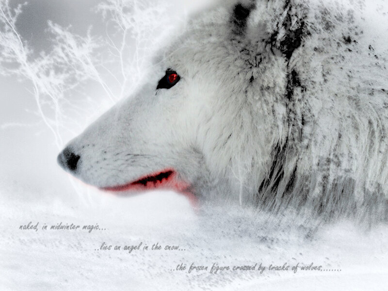 White Wolf in Snow — Dramatic, Winter, Digital Art, Red Eyes
