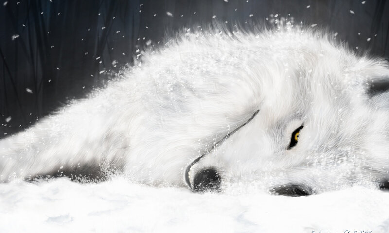 White Wolf in Snow — Dramatic, Winter, Digital Art
