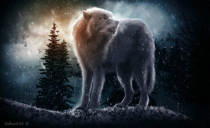 White Wolf in Snow — Dramatic, Winter, Digital Art, Trees
