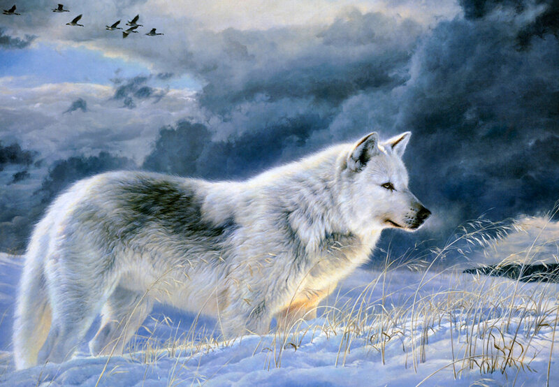 White Wolf in Snow — Dramatic, Winter, Painting, Birds