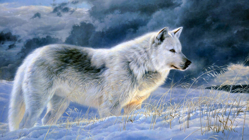 White Wolf in Snow — Dramatic, Winter, Painting