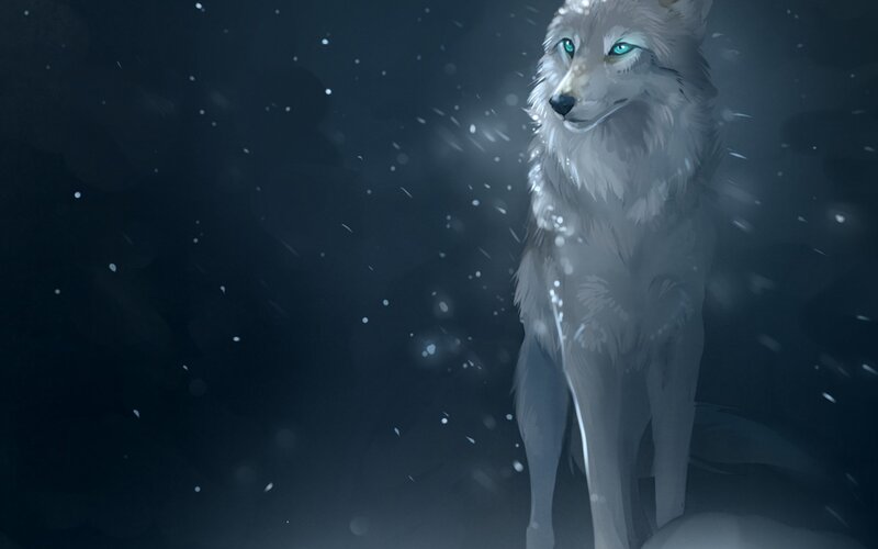 White Wolf in Snow — Gray, Dramatic
