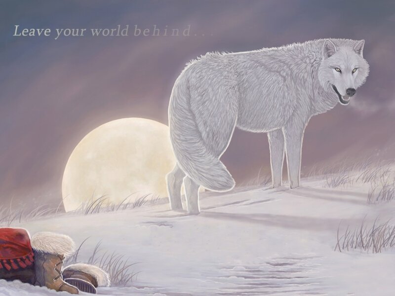 White Wolf in Snow — Gray
